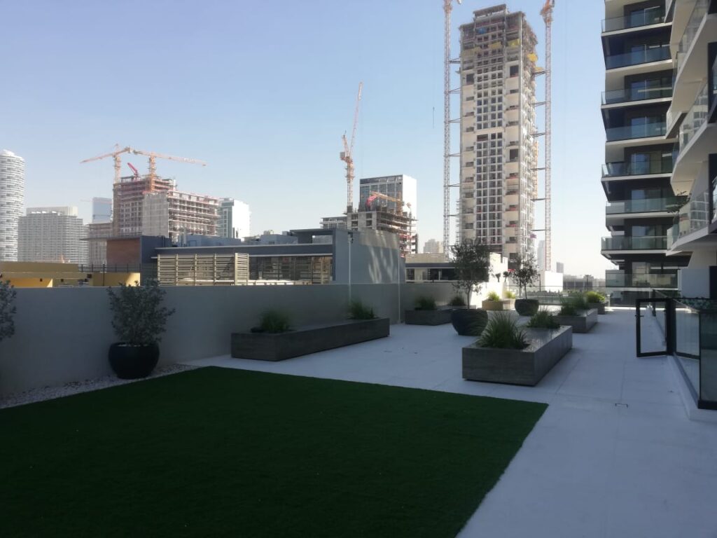 WhatsApp Image 2025-09-02 at 10.19.43